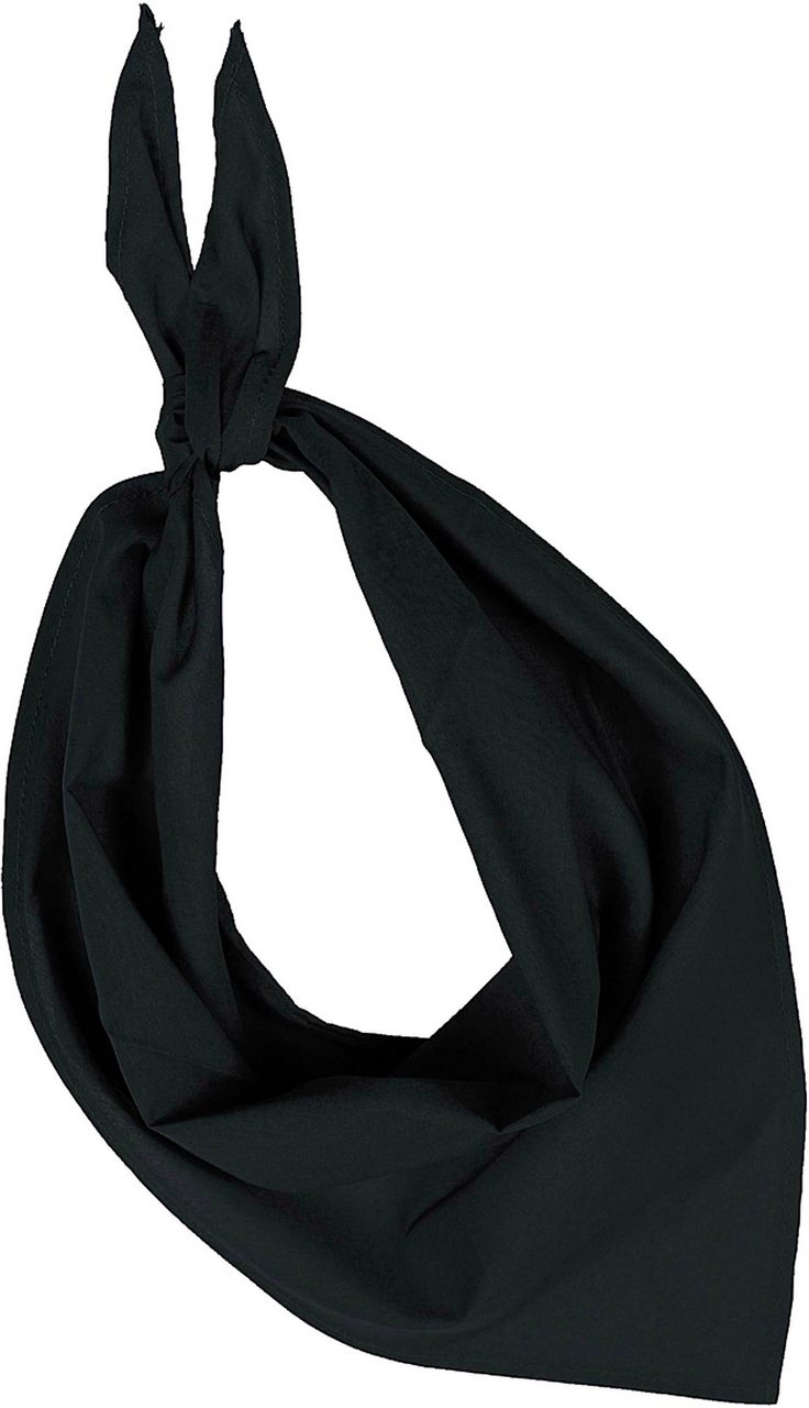 K-KP064-FIESTA - BANDANA