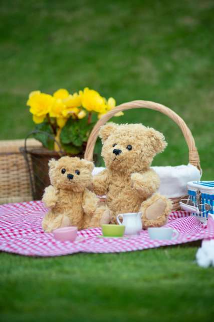 CLASSIC JOINTED TEDDY BEAR